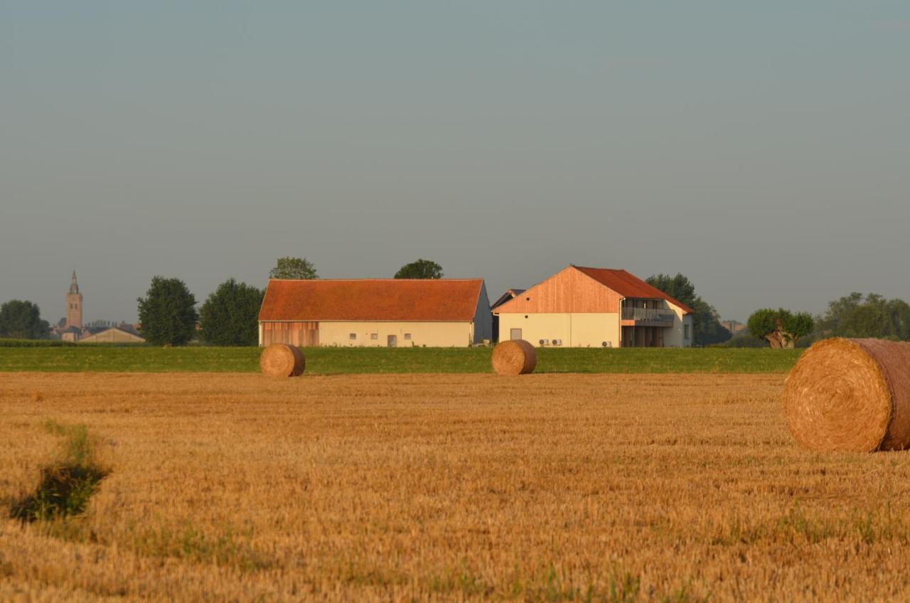 Oversteekhof Roesbrugge-Haringe 外观 照片