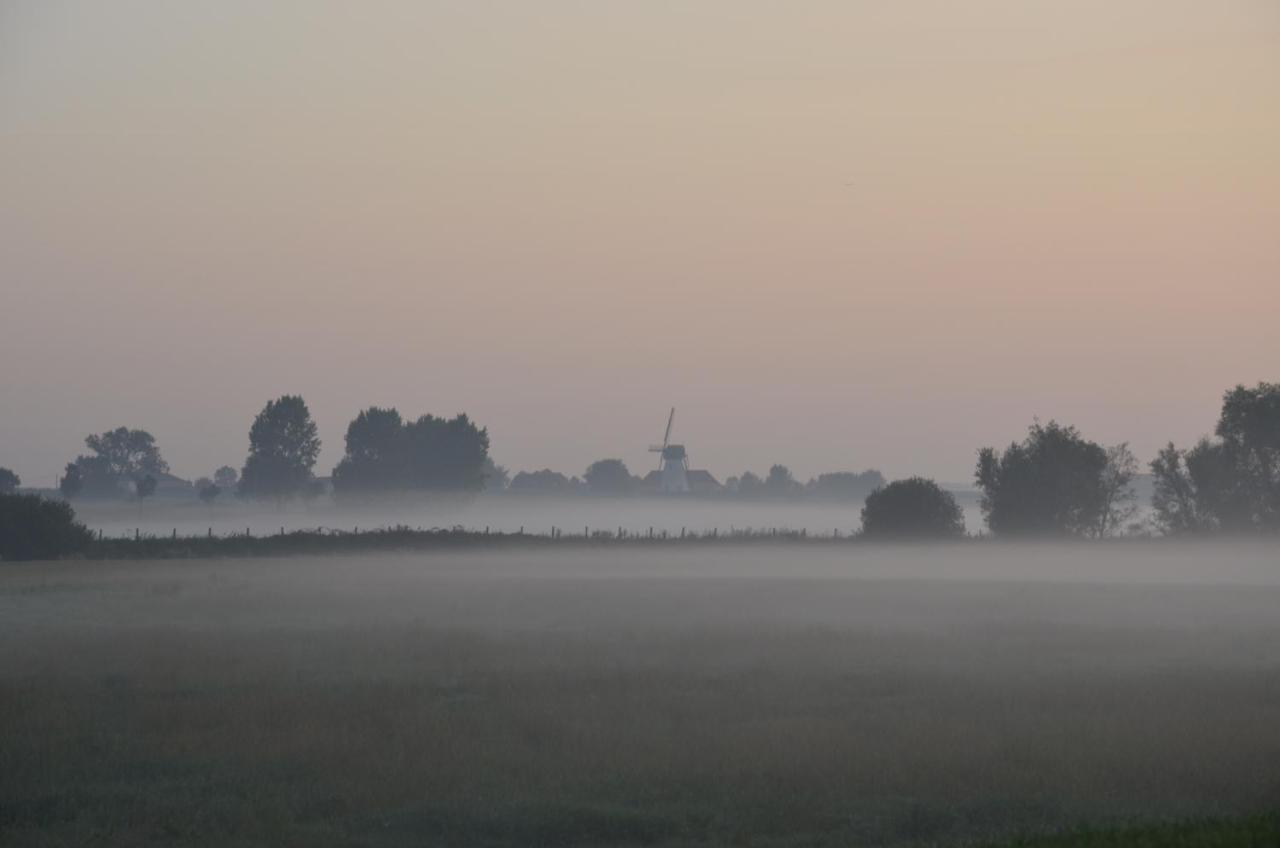 Oversteekhof Roesbrugge-Haringe 外观 照片